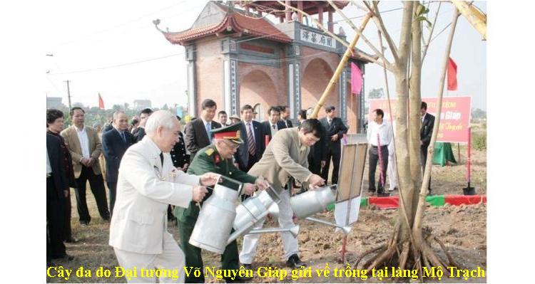 Lễ trồng cây đa của ĐT Võ Nguyễn Giáp